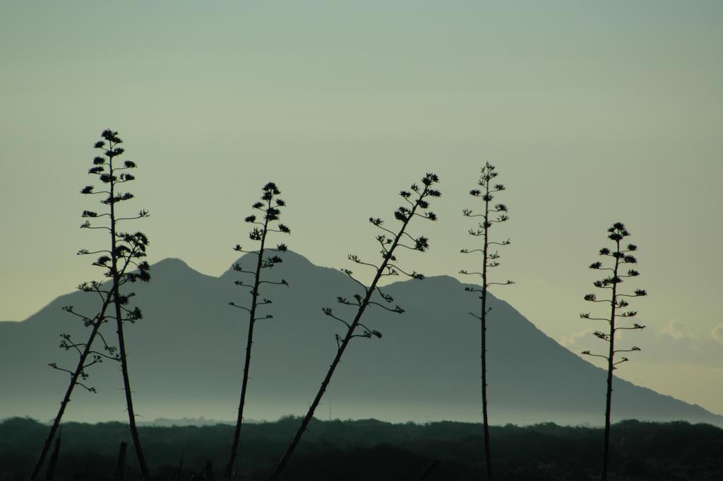 Casa Lenore * Cabo De Gata